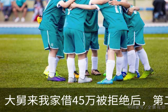 大舅来我家借45万被拒绝后，第二天派出所来电：你大舅一家全死了